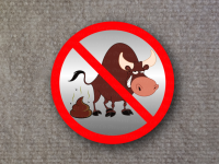 Image of no bull with red circle