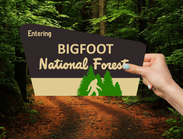 Entering Bigfoot National Forest Believe Window Laptop Bumper Sticker Decal - Image 2