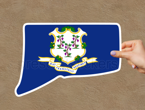 Connecticut Flag State Outline Car Window Vinyl Laptop Sticker Decal - Image 4