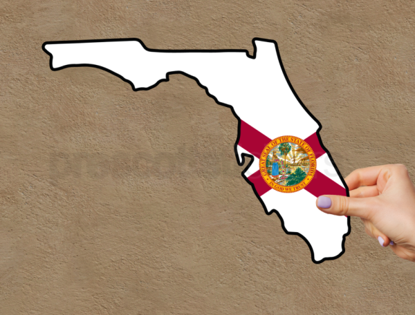 Florida Flag State Outline Car Window Vinyl Laptop Sticker Decal - Image 4