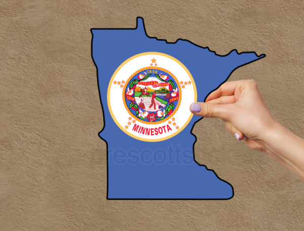 Minnesota  Flag State Outline Car Window Vinyl Laptop Sticker Decal - Image 2